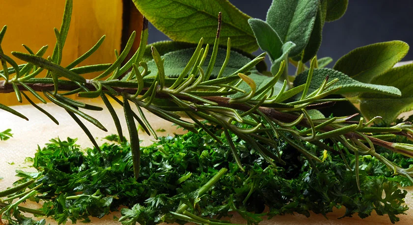 Rametti di aromatiche